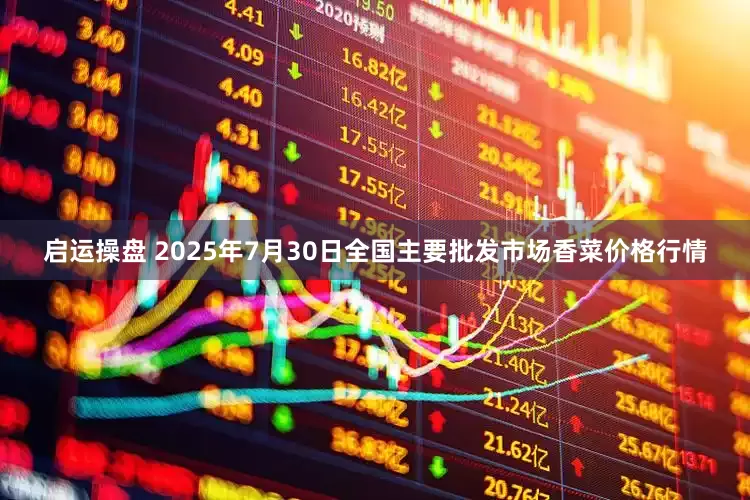 启运操盘 2025年7月30日全国主要批发市场香菜价格行情