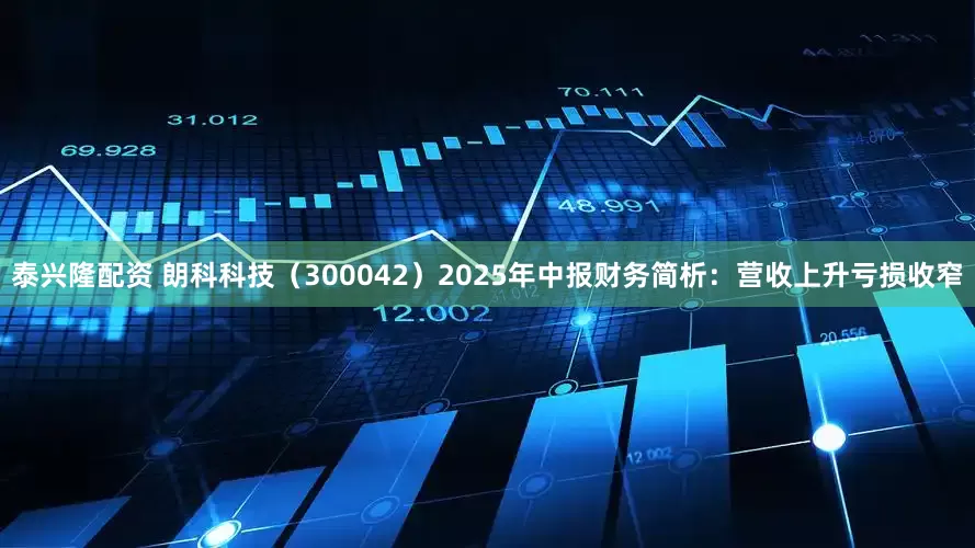 泰兴隆配资 朗科科技（300042）2025年中报财务简析：营收上升亏损收窄